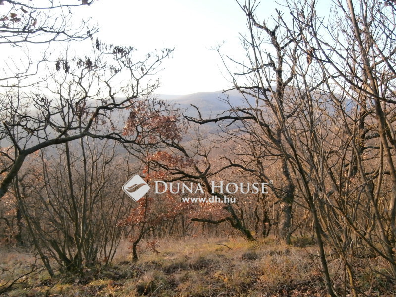 Land 4 380 m² Szentendre, Hungary