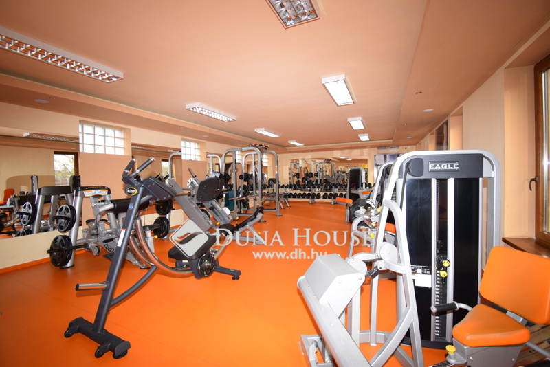 Propiedad comercial 320 m² en Nyirbator, Hungría