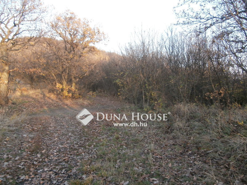 Land 4 380 m² Szentendre, Hungary