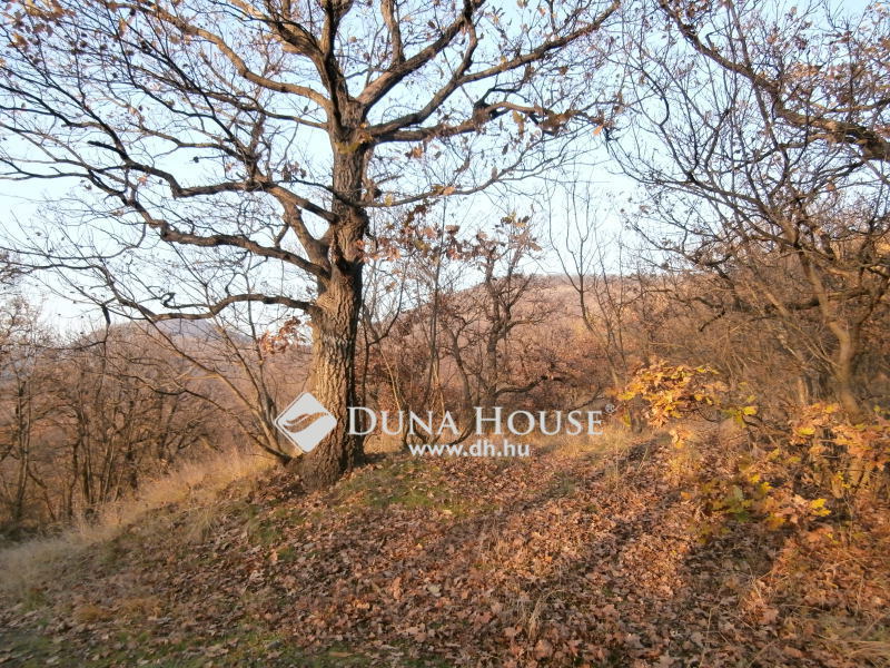 Land 4 380 m² Szentendre, Hungary