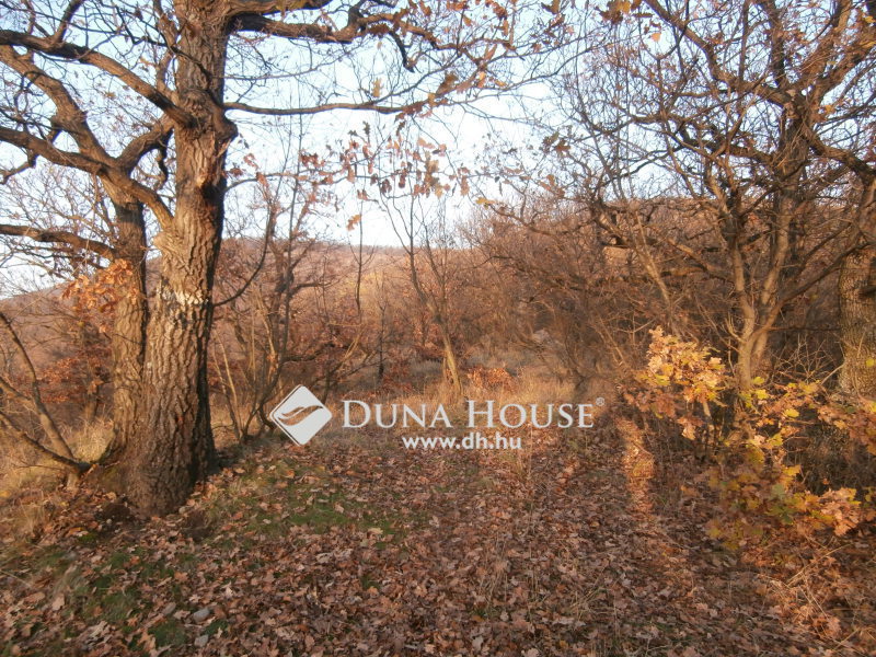 Land 4 380 m² Szentendre, Hungary