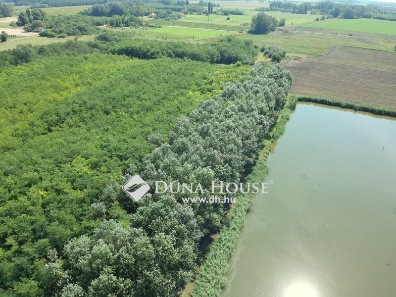 Land 128 065 m² Jakabszallas, Hungary