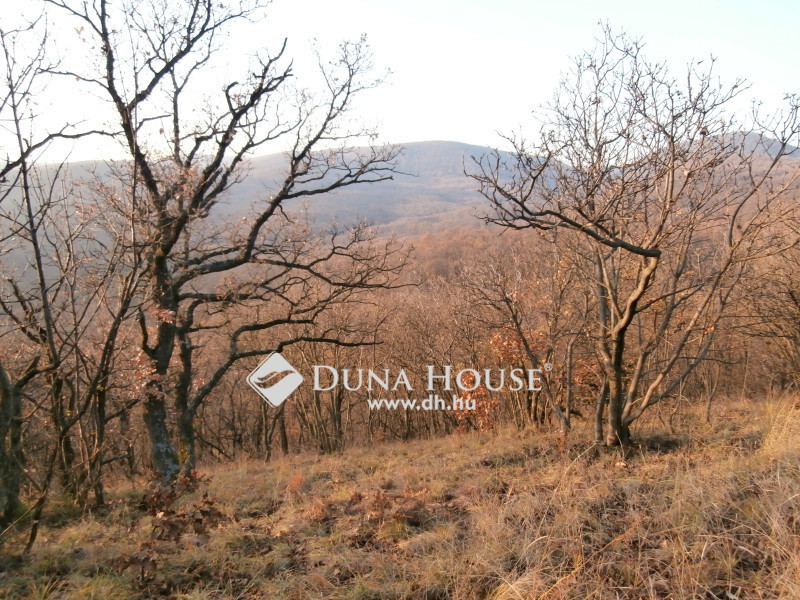 Land 4 380 m² Szentendre, Hungary