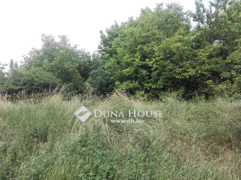 Land 47 263 m² Dombovar, Hungary